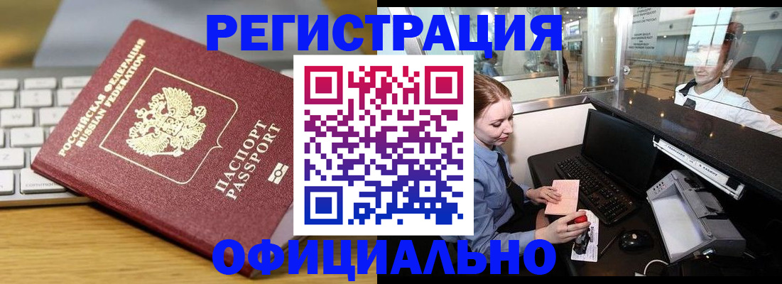 временная регистрация поиск в Курской области